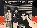 Slaughter and the Dogs Launch Kickstarter campaign for Manchester ...