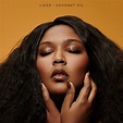 Lizzo - Coconut Oil - Reviews - Album of The Year