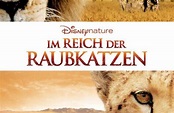 Im Reich der Raubkatzen (2011) - Film | cinema.de