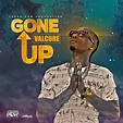 Gone Up by Valcure on MP3, WAV, FLAC, AIFF & ALAC at Juno Download