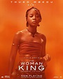 The Woman King DVD Release Date | Redbox, Netflix, iTunes, Amazon