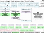 Sepsis, and Septic Shock: Pathogenesis and Clinical Findings | Calgary ...