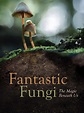 Watch Fantastic Fungi | Prime Video