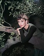 Audrey Hepburn - Sabrina (1954) Photo (12036996) - Fanpop
