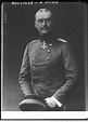 Général [Otto] Liman von Sanders Pasha, commandant en chef de l'armée ...
