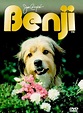 Benji - O Cachorro Divino - PetMag