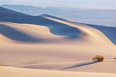 25 Interesting Facts About The Deserts In California - | Tourism Teacher