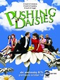 Pushing Daisies (#4 of 4): Extra Large Movie Poster Image - IMP Awards