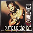 Technotronic Featuring Felly - Pump Up The Jam (1990, Vinyl) | Discogs