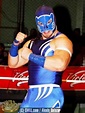 Wrestler Blue Panther Jr. – Wiki | WWE Wrestling Profiles