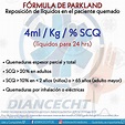 Regeneración asistente Que pasa regla de parkland para quemados ...