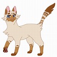 mothflutter // warrior cat oc by Moothic on DeviantArt