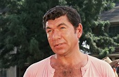About Claude Akins: Net Worth, Wife, Death, Married, Parents, Mother