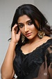 Mirnaa Menon photo gallery - Telugu cinema actress