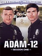 The New Adam-12 Saison 1 - AlloCiné