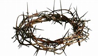 O Que Significa a Coroa de Espinhos de Jesus?