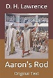 Aaron's Rod, D H Lawrence | 9798649267410 | Boeken | bol.com