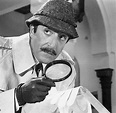 inspector clouseau - TapRooT® Root Cause Analysis