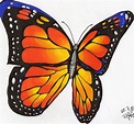 Misdibujostm31: Mariposa