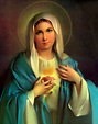 Da Mihi Animas: A Solemn Act of Consecration to the Immaculate Heart of ...