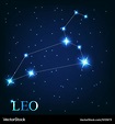 The leo zodiac sign of the beautiful bright stars Vector Image