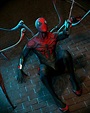Pin de Leonardo em Imágenes Chidas de Marvel | The superior spider man ...