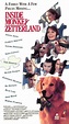 Amazon.com: Inside Monkey Zetterland [VHS] : Steve Antin, Katherine ...