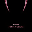 ‎Pink Venom - Single by BLACKPINK on Apple Music