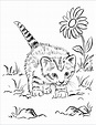 Cute Cats Coloring Pages - Coloring Home