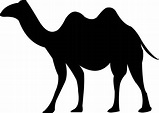 imágenes vectoriales de camellos en blanco y negro que puede usar según ...