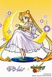 Princess Serenity - Sailor Moon Photo (43428802) - Fanpop