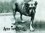 90's Nostalgic — The album cover for Alice in Chains self-titled...
