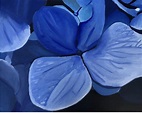 Achona | The Blue Gardenia