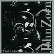 John Zorn - What Thou Wilt (2010, CD) | Discogs