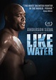 Amazon.com: Anderson Silva: Like Water : Jared Freedman, Anderson Silva, Dana White, Chael ...