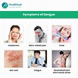 Dengue: Symptoms and Prevention - Healthsoul