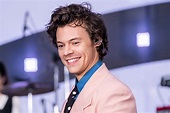 Harry Styles Postpones ‘Love on Tour,’ Harryween Shows to 2021 ...