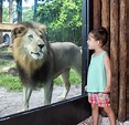 Naples Zoo at Caribbean Gardens in Naples | VISIT FLORIDA