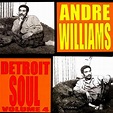 ANDRE WILLIAMS: Detroit Soul Vol. 4 LP