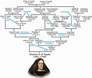 Charles II, Habsburg of Spain: What exactly was up with his DNA? | DNA ...