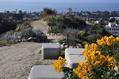 The Ventura Botanical Gardens are Blooming | VCWC