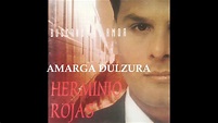 AMARGA DULZURA - Herminio Rojas y El Ritmo Sensacional - YouTube
