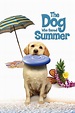 The Dog Who Saved Summer (2015) - Posters — The Movie Database (TMDB)