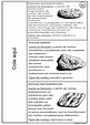 O caderno dos alunos ficou assim: | Rochas e minerais, Rochas ...