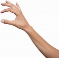Holding hands Icon - Hands PNG, hand image free png download - 3039* ...