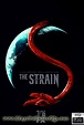 The Strain Temporada 4 [720p] [Latino-Ingles] [MEGA] - MegaPeliculasRip ...