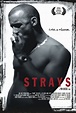 Strays (Film, 1997) - MovieMeter.nl