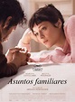 Asuntos familiares cartel de la película