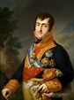 Ferdinando VII di Spagna - Wikipedia | Vicente lopez, Ferdinand, Spain