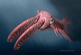 Incredible Vision in Ancient “Radiating Teeth” Deep Sea Creatures Drove ...